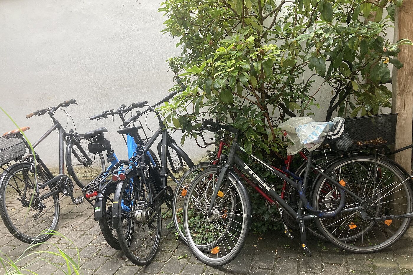 Fahrraeder im Regen und im Weg stehend da kein Fahrradraum vorhanden